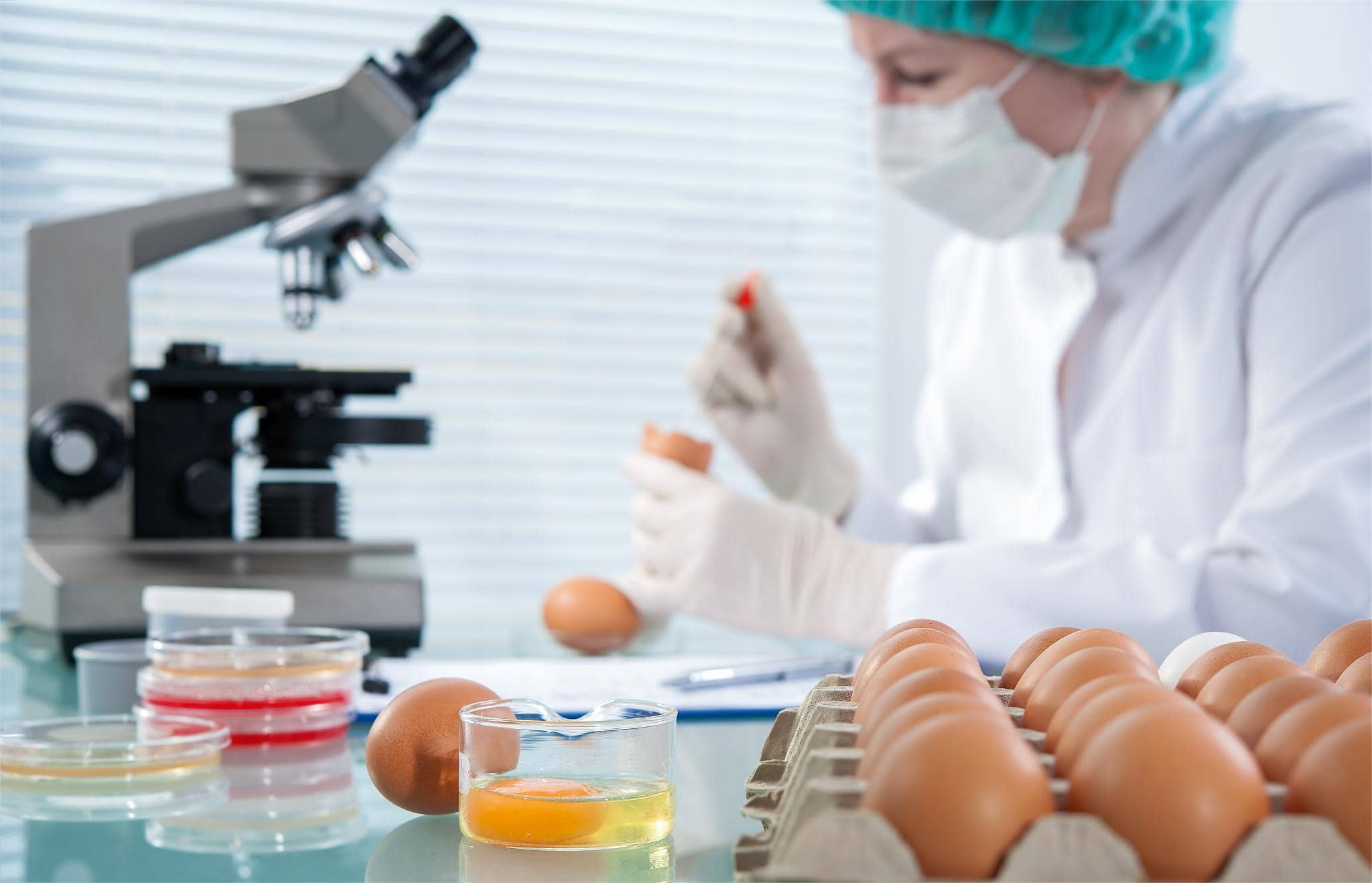 食品實(shí)驗(yàn)室設(shè)計(jì) 食品實(shí)驗(yàn)室設(shè)計(jì)