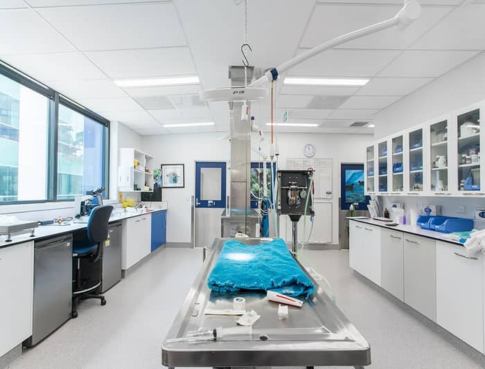 獸醫(yī)實(shí)驗(yàn)室設(shè)計(jì)